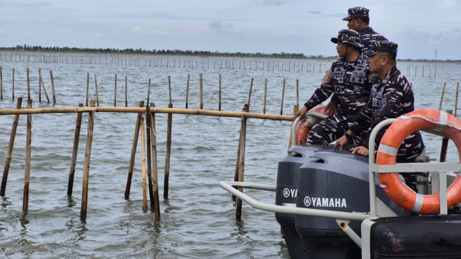 danlantamal-iii-brigjen-tni-marinir-harry-pembongkaran-pagar-laut-misterius-atas-perintah-presiden-prabowo_a952508.jpg