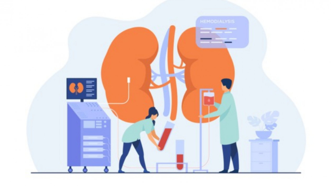 menguak-fakta-mengejutkan-transplantasi-ginjal_04cdc8a.jpg