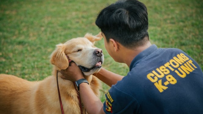 tak-banyak-yang-tahu-anjing-pelacak-ternyata-bisa-stres-saat-menemukan-korban-sudah-tidak-bernyawa_2e3ee44.jpg