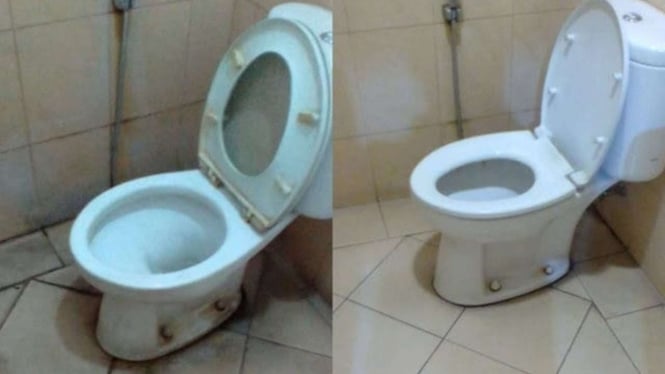 5-cara-cepat-membersihkan-toilet-agar-tampak-kinclong-dan-bebas-kuman_ae52886.jpg