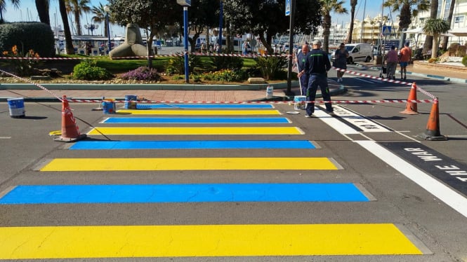 sudah-tahu-belum-kenapa-warna-zebra-cross-hitam-putih-padahal-dulu-biru-kuning_fe70d23.jpg