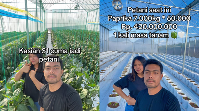 viral-pasangan-petani-muda-ini-spill-penghasilannya-sebesar-rp420-juta-satu-kali-panen_f8f9710.jpg