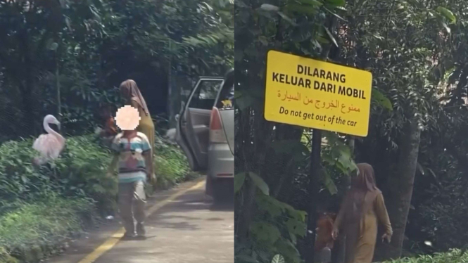 viral-pengunjung-taman-safari-nekat-turun-dari-mobil-di-area-satwa_d6b9e2f.jpg