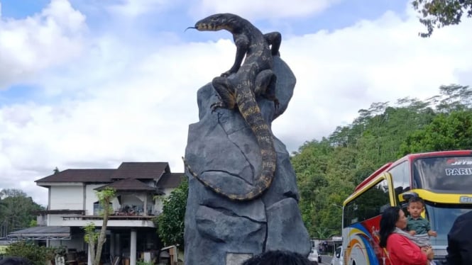 asal-mula-dibuatnya-patung-biawak-realistis-di-wonosobo-yang-viral-bupati-ini-inisiatif-anak-muda-tanpa-apbd_f9ebba1.jpg