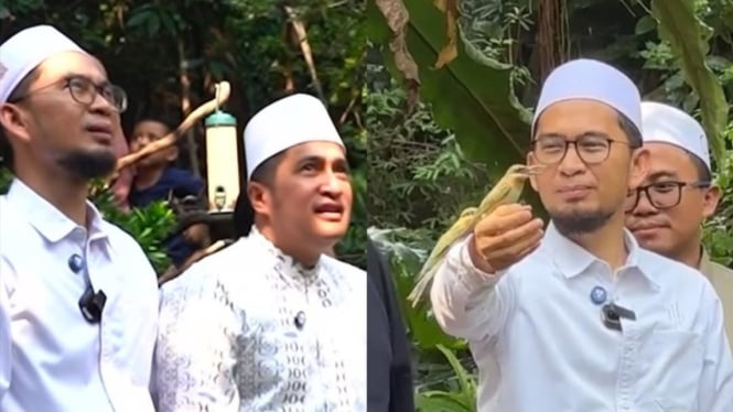 bikin-kagum-irfan-hakim-merinding-lihat-reaksi-hewan-peliharaannya-dekati-ustaz-adi-hidayat_0f1a1d2.jpg