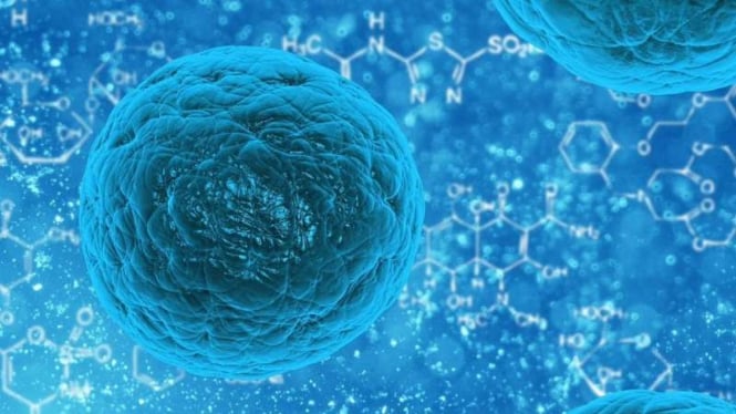 bisakah-terapi-stem-cell-sembuhkan-pengapuran-tulang_b9ec99c.jpg