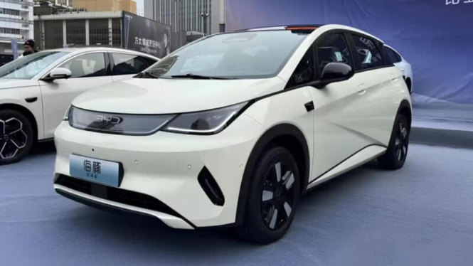 byd-dolphin-terbaru-resmi-meluncur-dan-punya-mata-dewa_899a2ae.jpg