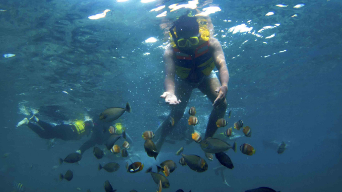 gili-trawangan-dinobatkan-jadi-destinasi-wisata-nomor-satu-dunia_d94d903.jpg