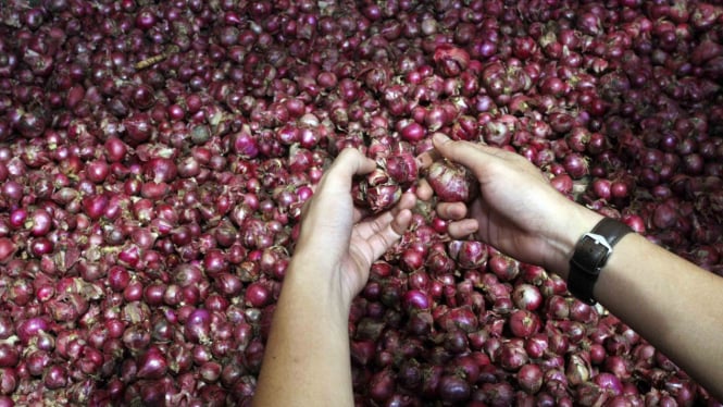 jadi-petani-bisa-bikin-tajir-cuma-butuh-benih-dan-teknologi_491f299.jpg