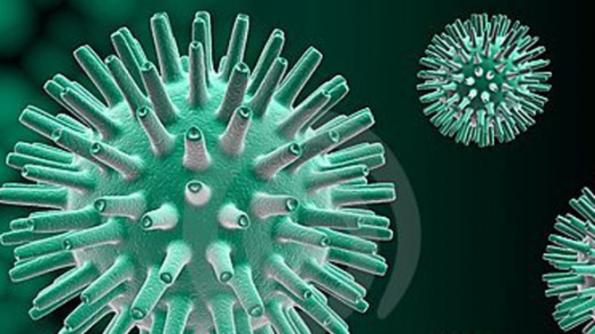 pasien-yang-sudah-sembuh-cacar-api-ternyata-punya-risiko-alami-nyeri-post-herpes_06bc171.jpg