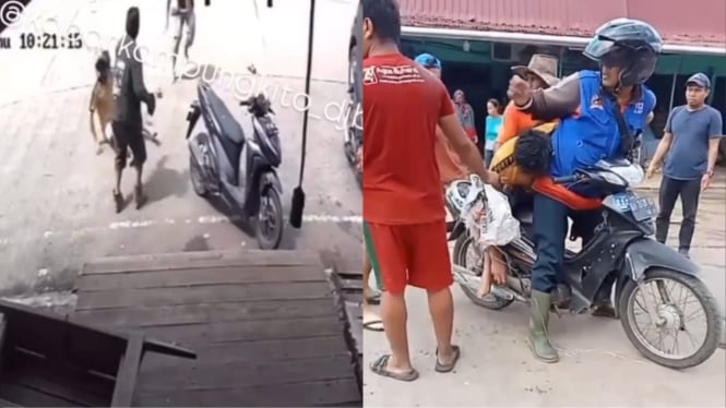 terpopuler-duel-pedagang-pempek-ormas-grib-ditolak-di-bali-hingga-berkah-tugu-biawak_ddb41a6.jpg