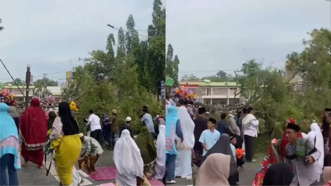viral-ada-pohon-tumbang-timpa-jemaah-saat-salat-id-2-orang-meninggal-dan-15-luka_3c7b717.jpg