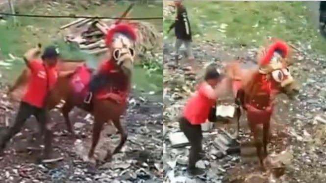 viral-aksi-pria-aniaya-kuda-di-cimahi-tuai-kecaman-warganet_9a2dd37.jpg