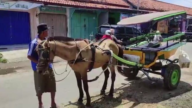 wisatawan-asal-tangsel-curhat-diminta-bayar-rp600-ribu-usai-naik-delman-di-bandung_6786ed3.jpg