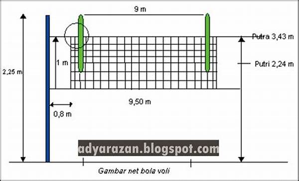 aturan-net-bola-voli_e300dc40c.jpg