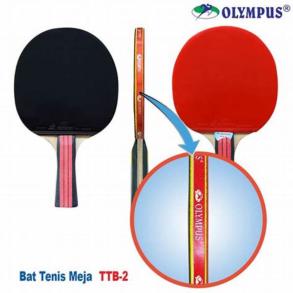 tips-membeli-bat-tenis-meja-terbaik_07e50fa38.jpg