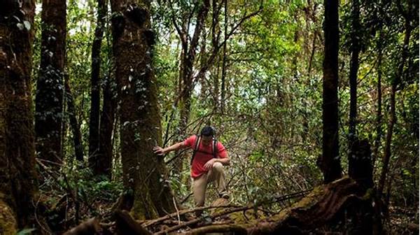 bagaimana-cara-bertahan-hidup-jika-tersesat-di-hutan-menurut-ajaran-militer_fb56efdb8.jpg