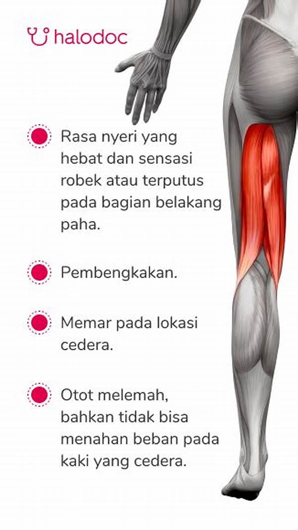 cara-memulihkan-cedera-hamstring-lebih-cepat-untuk-pemain-sepak-bola-amatir_52f193f1d.jpg