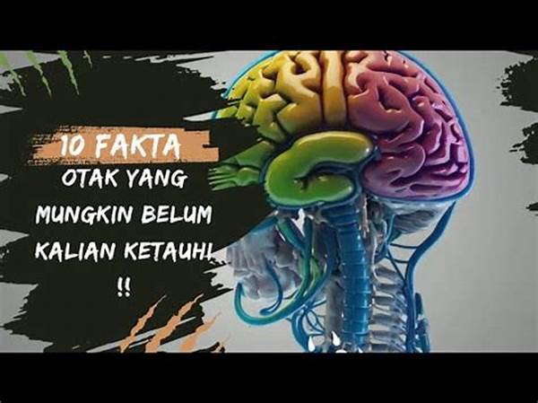 fakta-ilmiah-mengejutkan-tentang-otak-manusia-yang-jarang-diketahui_bc144ac90.jpg
