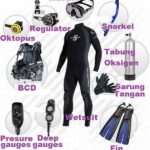 peralatan-selam-scuba-diving-yang-wajib-dimiliki-untuk-penjelajahan-bawah-laut_b6a95eb40.jpg
