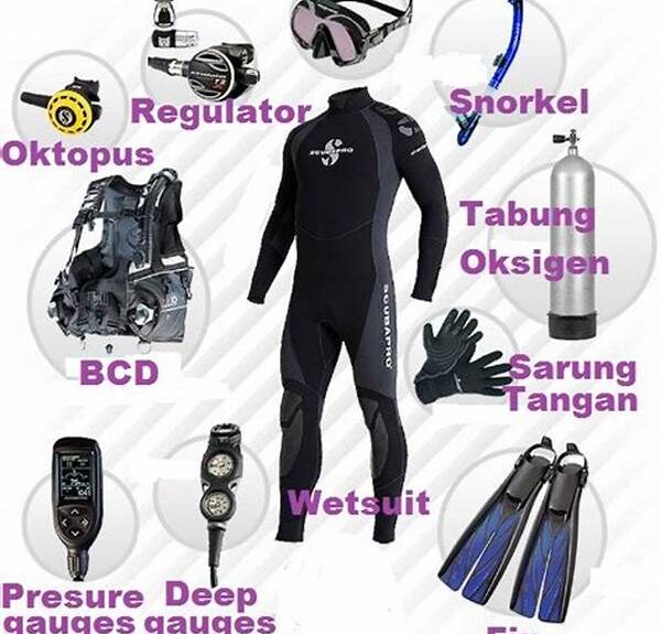 peralatan-selam-scuba-diving-yang-wajib-dimiliki-untuk-penjelajahan-bawah-laut_b6a95eb40.jpg