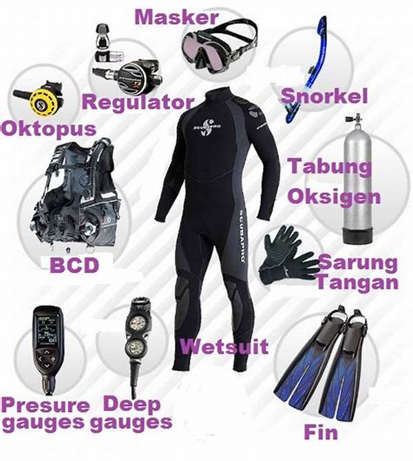 peralatan-selam-scuba-diving-yang-wajib-dimiliki-untuk-penjelajahan-bawah-laut_b6a95eb40.jpg