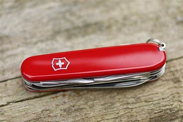 alasan-mengapa-tentara-swiss-selalu-membawa-pisau-lipat-serbaguna_c42013a35.jpg